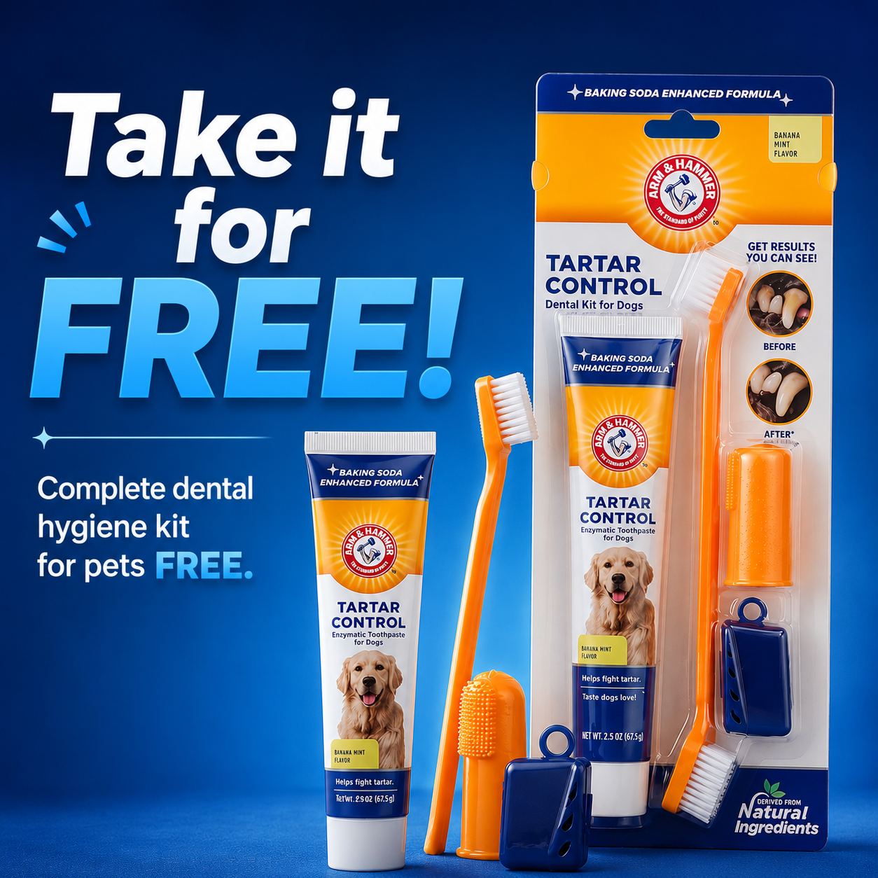 Gumbone™ — Your Dog's Dental Care