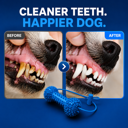 Gumbone™ — Your Dog's Dental Care