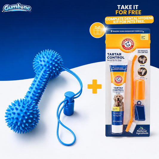 Gumbone™ — Your Dog's Dental Care