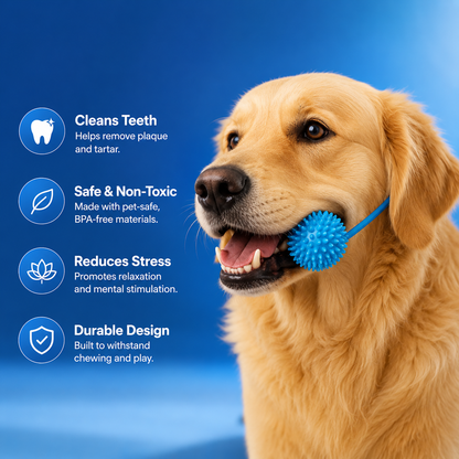 Gumbone™ — Your Dog's Dental Care